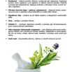 UNIXDERMA katalog CZ 20178.jpg